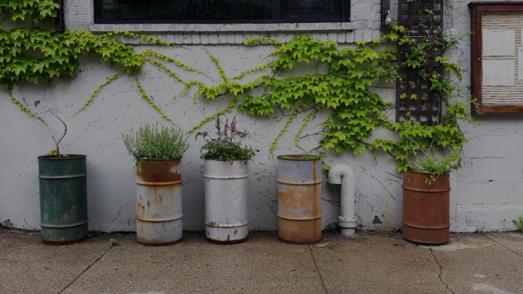 Old cans made into plant pots